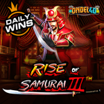 Rise Of Samurai 3